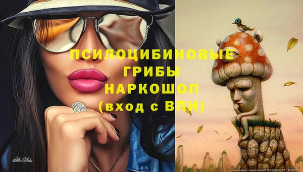 молекула духа Лихославль