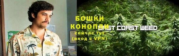молекула духа Лихославль