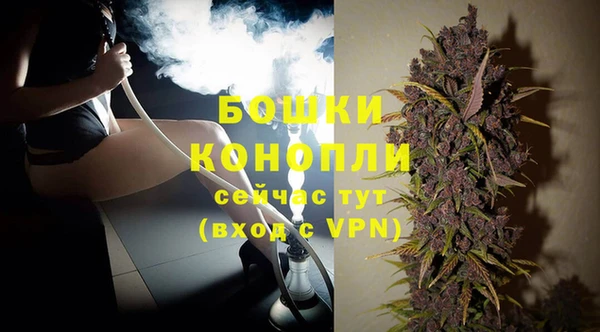 молекула духа Лихославль