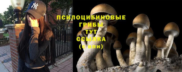 ешки Липки