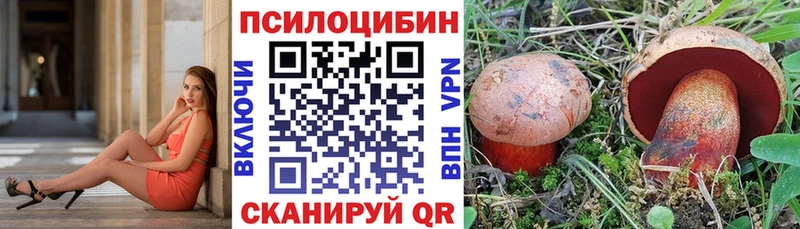 ссылка на мегу зеркало  Астрахань  Псилоцибиновые грибы MAGIC MUSHROOMS 